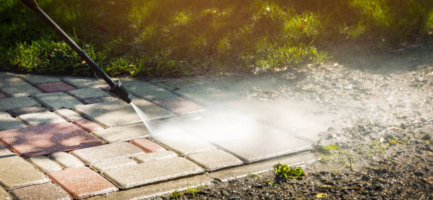 Best Roof Washing  in Lackland Af, TX